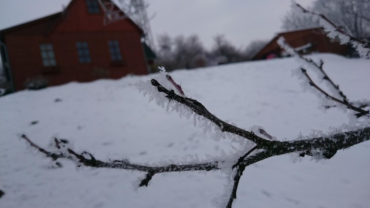 Na Vyhlidce Villa Litoměřice Dış mekan fotoğraf